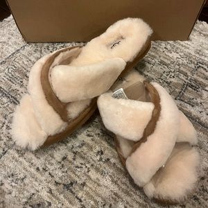 UGG Abela slippers 6